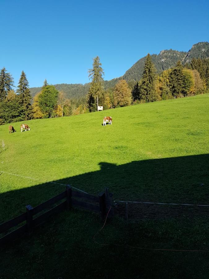 Affittacamere Haus Theresia